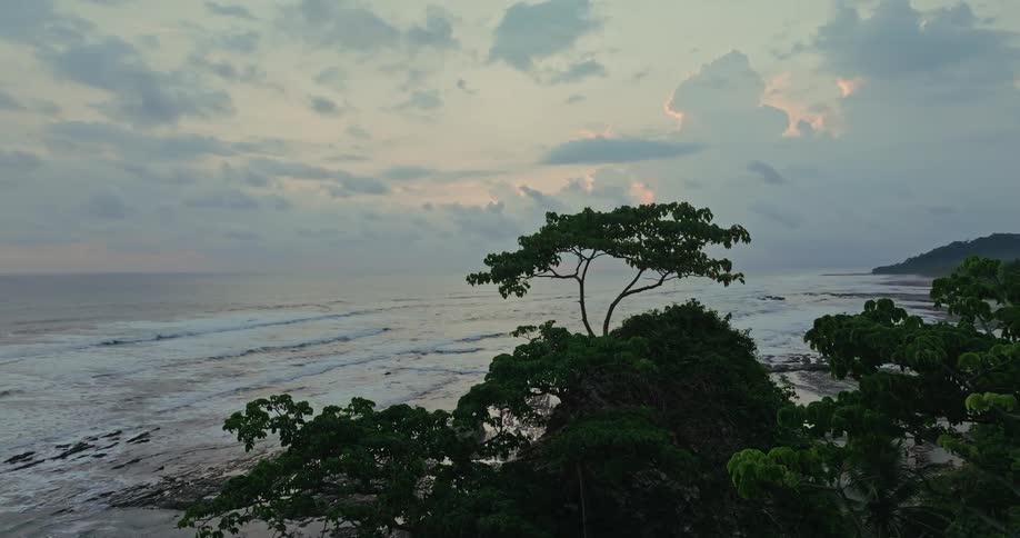 A view from a high angle shows a coastline with a long beach and a dense forest with large waves of dark blue water crashing against the sand and rocks under a sky filled with gray clouds