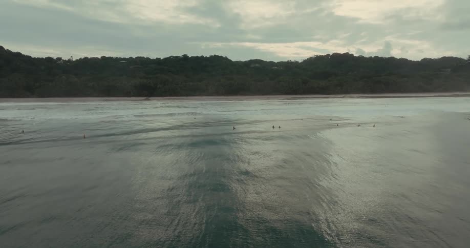 Surfers scattered across the sea wait for waves in front of the treelined beach