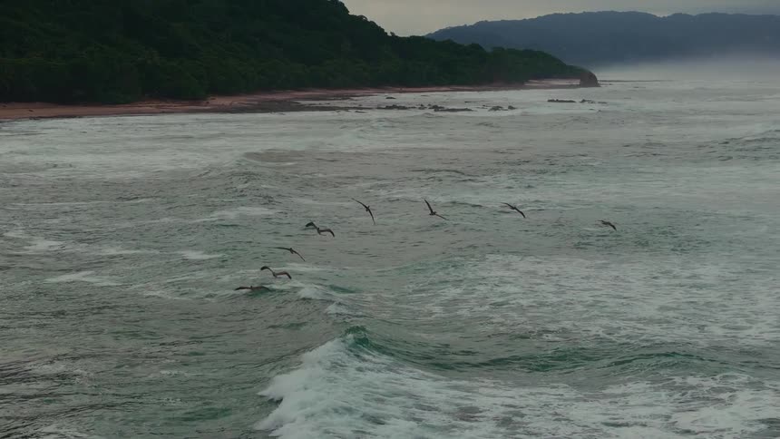 Flock of sea birds fly over ocean waves in front of a mountainous coast