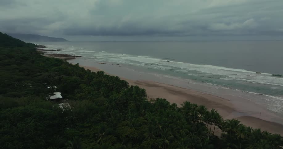 The tropical island is covered with green trees