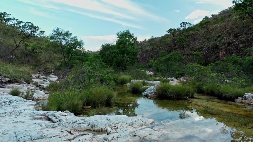 A wide but shallow stream passes around vegetation and rocks