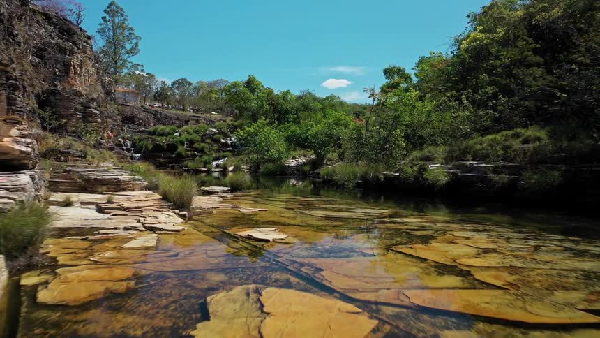 Clear stream surrounded by rocks and native vegetation
