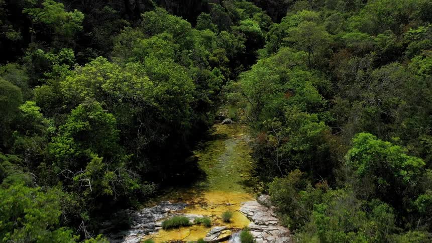 Small river with golden waters flows between rocks and dense vegetation