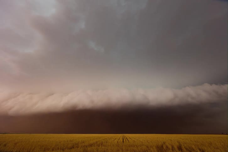 A large dark brown dust storm with a thick cloud front moves across a yellow field under a dark gray sky