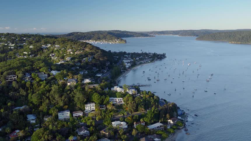 Many small watercraft float just off a coast occupied by a forested residential neighborhood