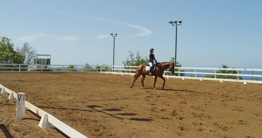A rider guides a chestnut horse across a wide arena white rails tracing the edge with ocean beyond