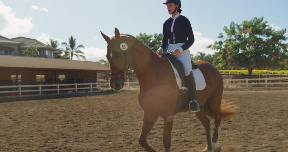 A rider guides a chestnut horse across a sandy arena palmlined fences and stable buildings in the background