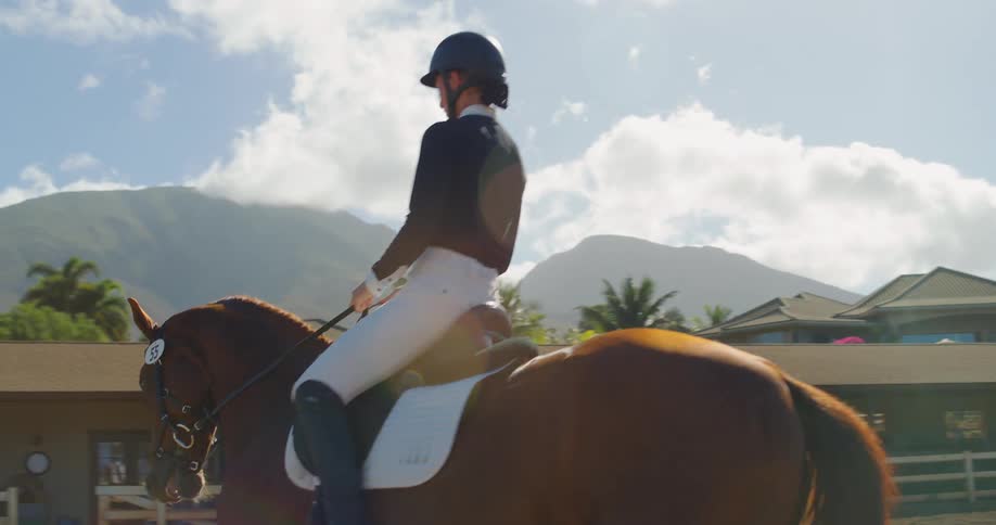 An equestrian practices controlled movements on a chestnut horse across a sunlit arena beside the stables