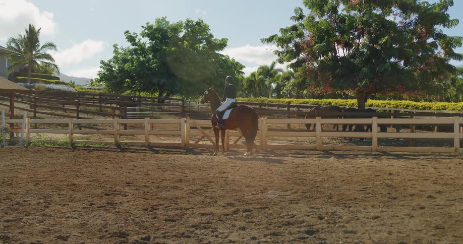 White woman riding a brown horse on a farm next to a fence outdoors during day time
