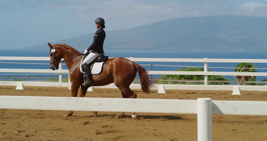Rider competing in a dressage event on a chestnut horse