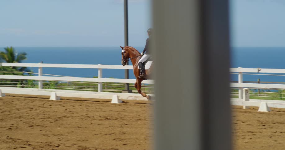 A horse rider wearing a helmet and a black jacket is performing dressage on a brown horse they are in a riding arena with a white fence and the ocean is visible in the background