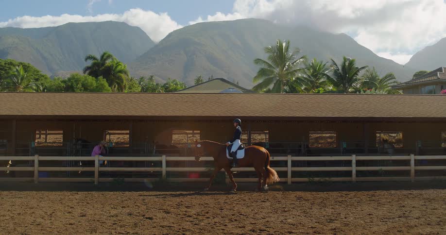 A woman wearing a helmet rides atop a horse across an enclosure