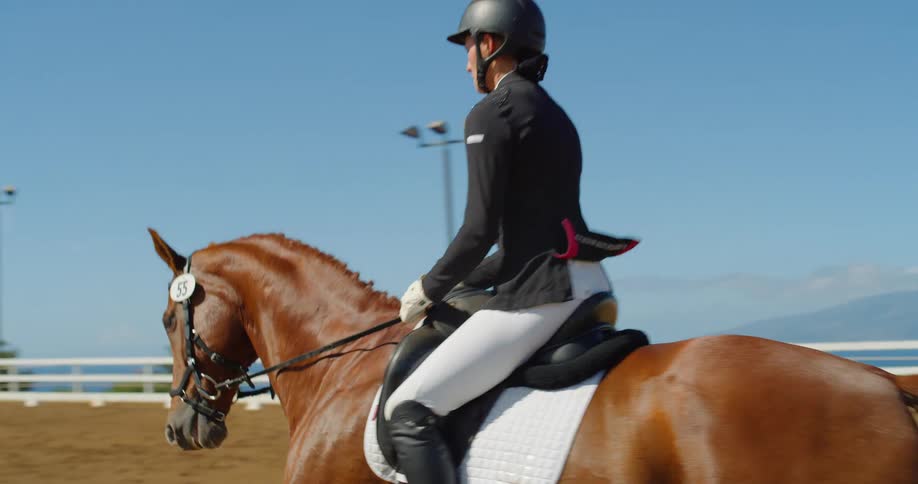 Woman riding a horse in a training arena