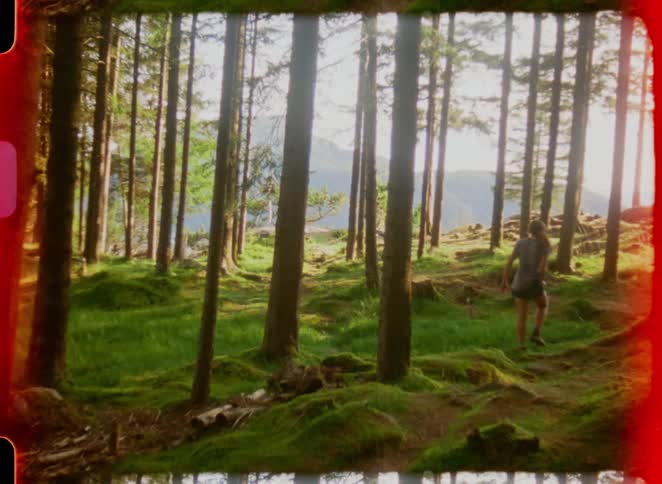 Person walking along a trail in a sunlit forest
