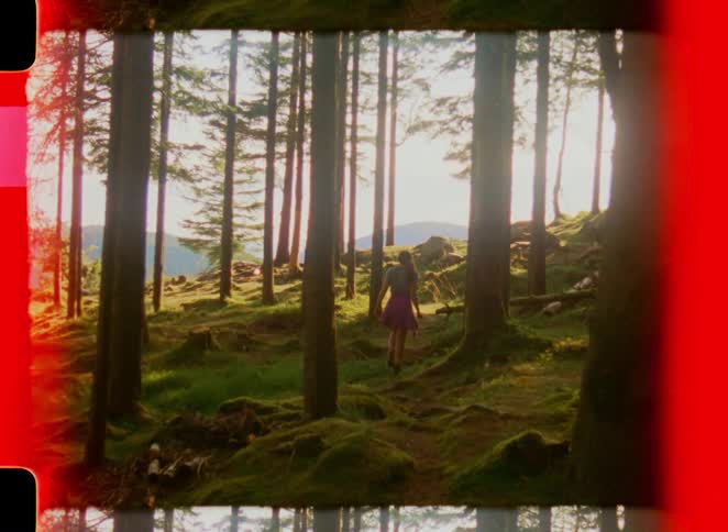 A woman walks through a sunlit forest surrounded by tall trees