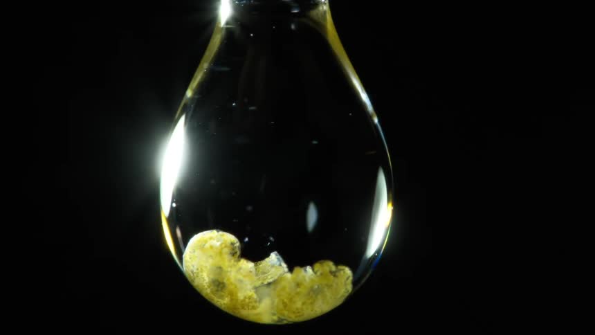 A single drop of water contains a cluster of yellowish organic material against a black background