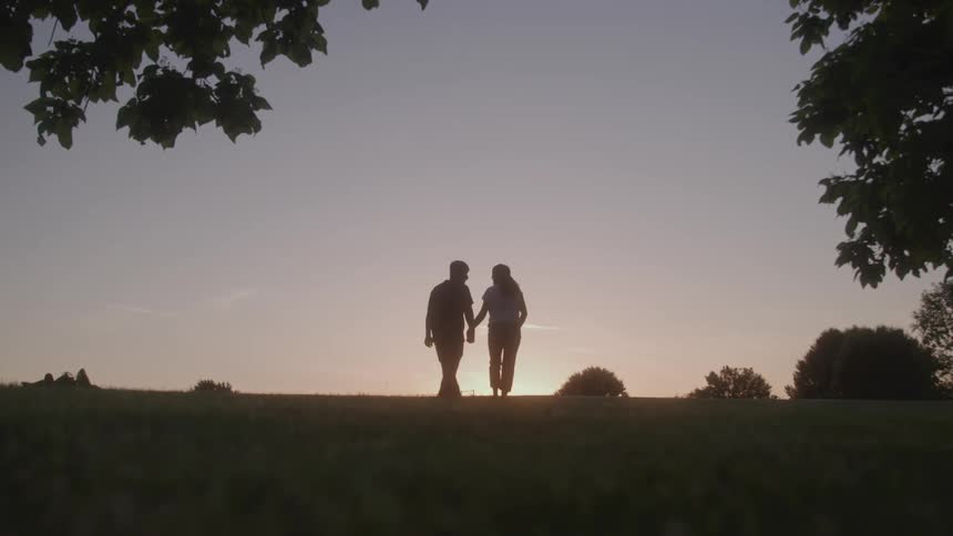 The silhouette of two people walking hand in hand in a field in the morning