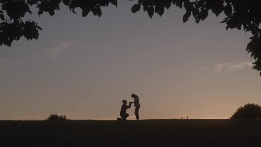 A man kneels down and proposes marriage to his female companion at sunset