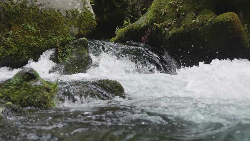 The video shows a closeup of a small rushing river the water flows quickly over and around mosscovered rocks creating white foam and rapids the sounds of the water are also very prominent