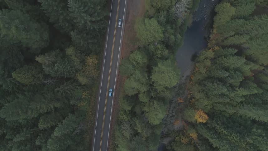 An aerial view shows two cars driving along a twolane road surrounded by a dense forest a river winds its way through the trees flowing parallel to the road