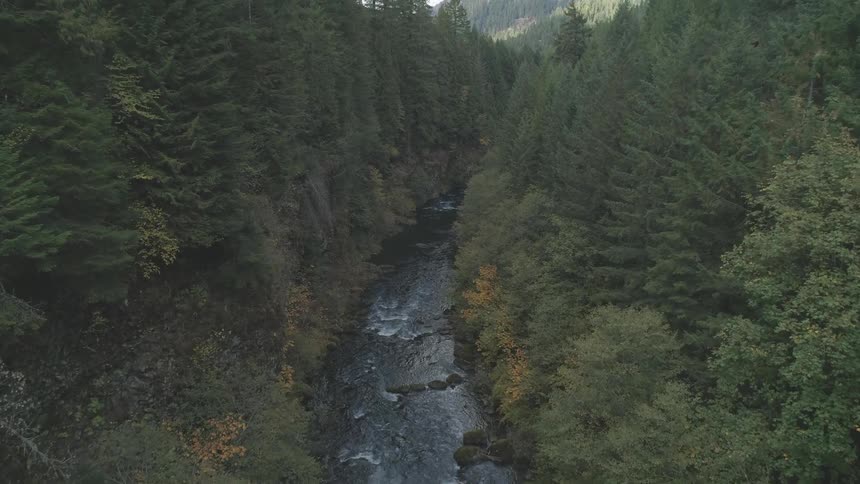 The video shows an aerial view of a river winding through a dense forest the camera is positioned high above the water looking down as the river meanders between steep treecovered banks the trees are a mix of evergreens and deciduous trees with some