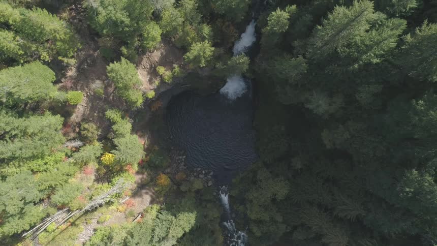 An aerial view looks straight down at a dark pool of water in a forest with a waterfall flowing into it from the top and a stream flowing out of it at the bottom and the surrounding trees display a mixture of green gold and red leaves