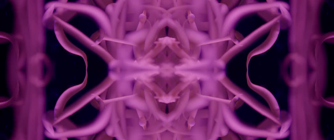 A symmetrical pattern of flowing purplish pink shapes moves and shifts against a black background