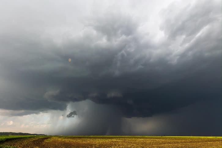A dense dark rain shaft from a supercell thunderstorm falling over a bright yellow field under a stormy sky