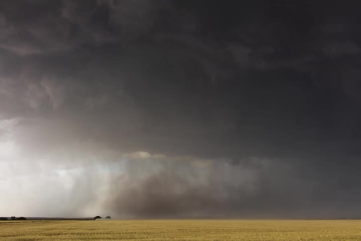 A tornado sweeping through a grassland in a rural area at midday under a dark cloudy sky