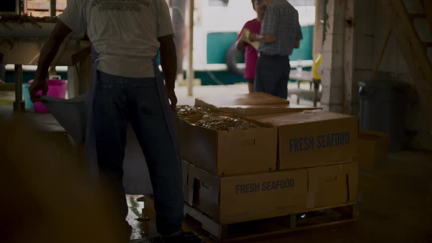 People pour food and ice into boxes