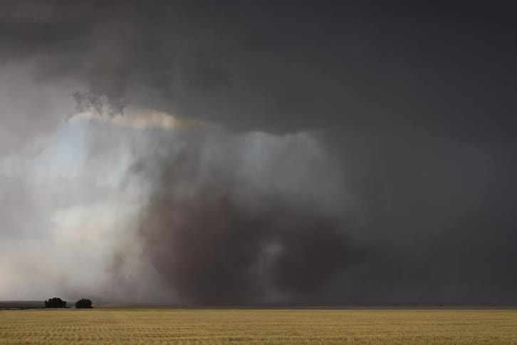 Rain and wind crashes through the field