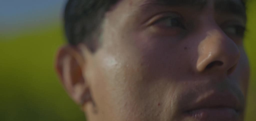 A mans face is shown in a tight closeup gazing thoughtfully at a field of vibrant yellow flowers then the shot abruptly pulls back to a wide view revealing a woman dancing