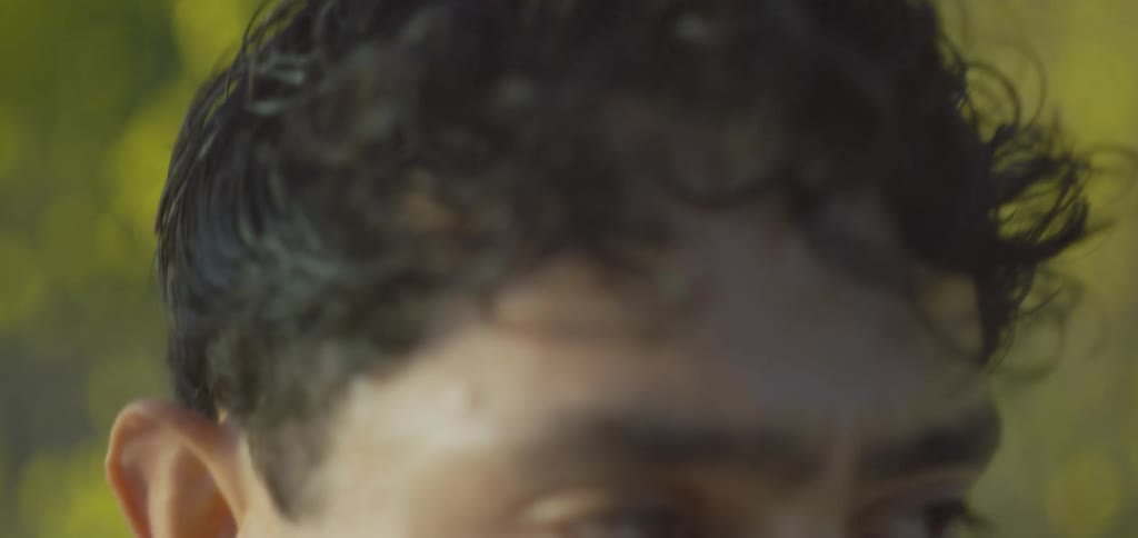 A person with a long coat walking through a vast hilly field of blooming yellow flowers then the focus transition to a young latin american man face