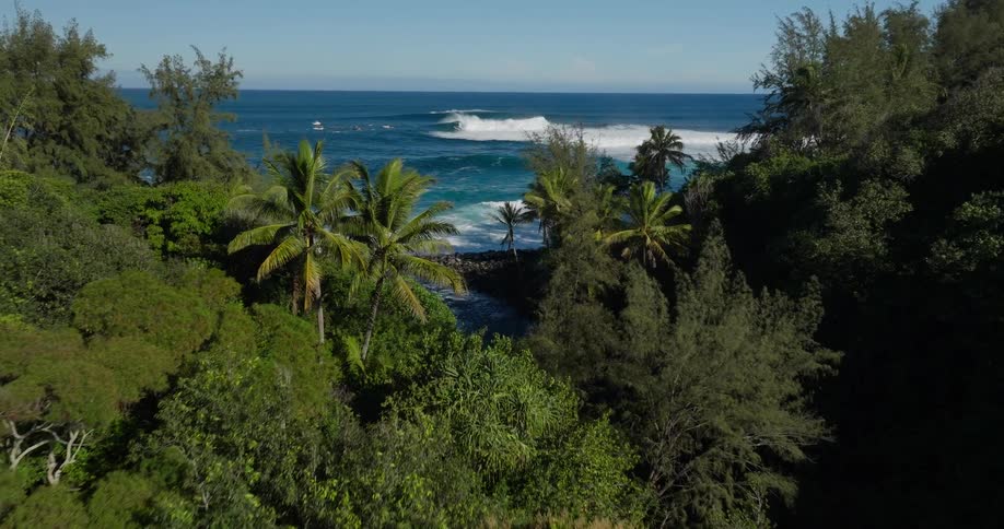 A tropical island covered in lush green vegetation with ocean waves crashing against the shore at midday