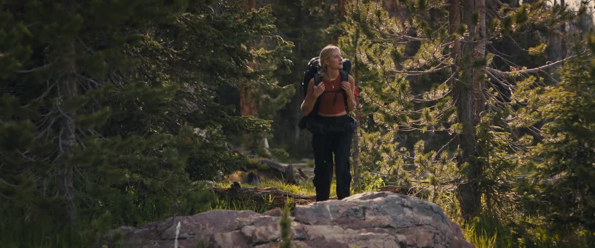 A hiker with a backpack walks along a rocky trail in a forest
