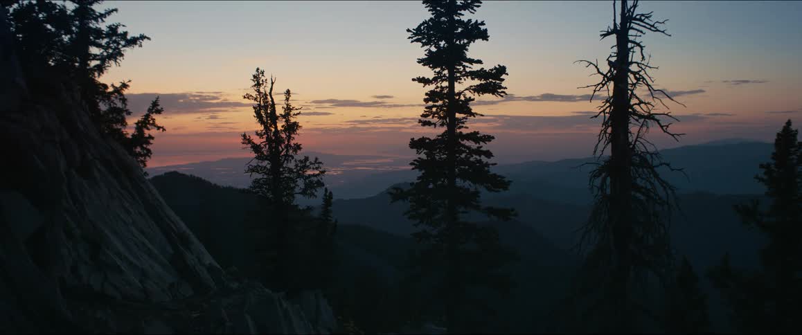 A wide shot of a sunset over a mountain range with the silhouettes of tall pine trees in the foreground