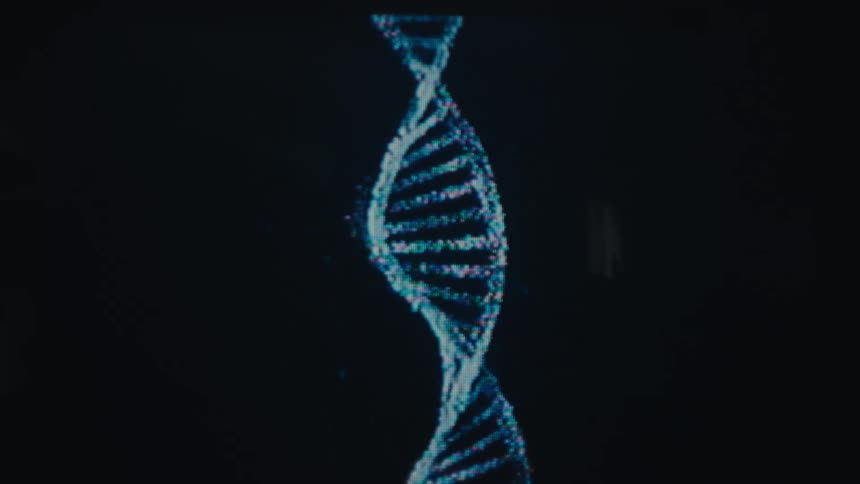 Screen displaying a genetic code