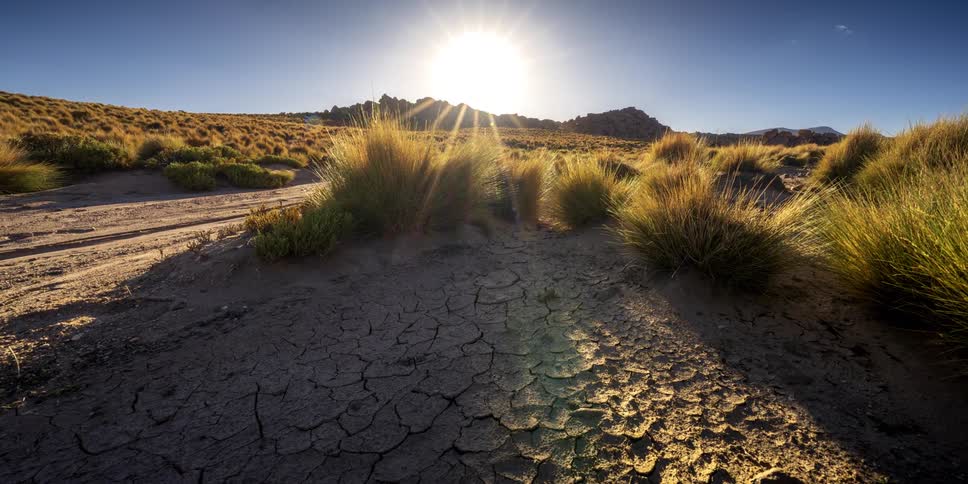 Sunset over a dry desert with cracked earth and tall grass