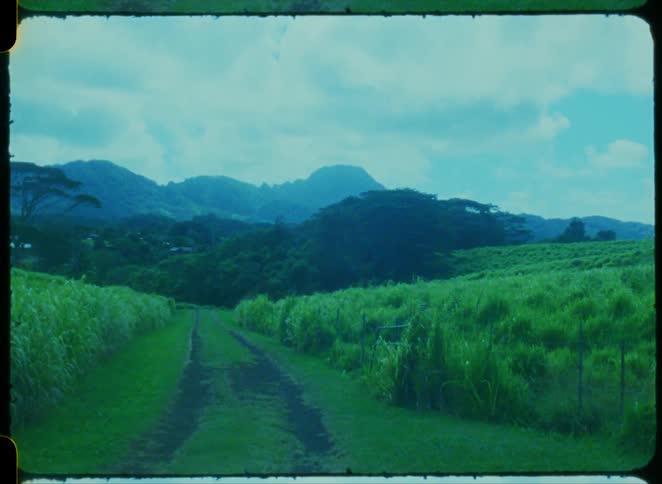 Agricultural field with a trail and mountains in the background