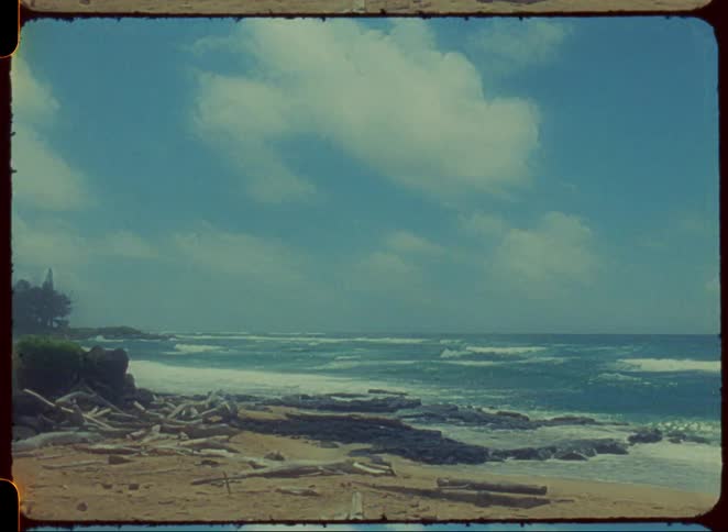 A landscape with an ocean a beach and palm trees under a sky with clouds