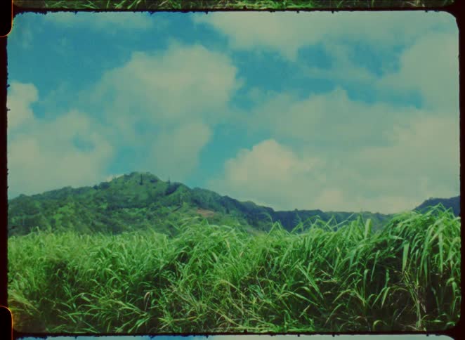 A lush green field stretches toward distant mountains under a bright blue sky