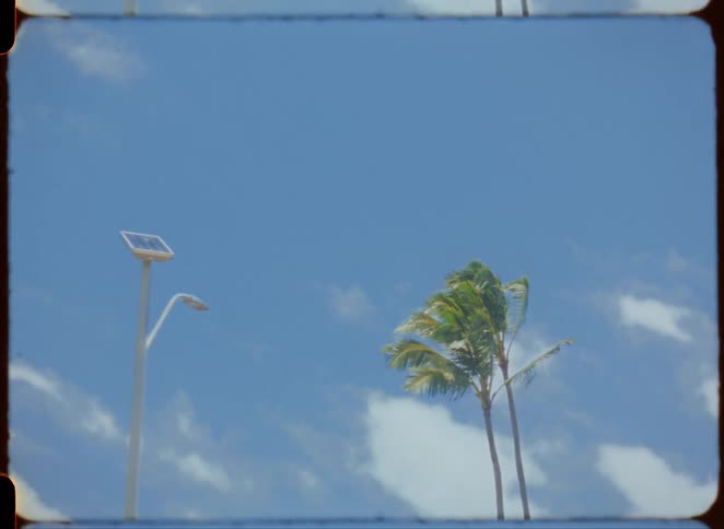 A light post and a palm tree stand under a sky with clouds