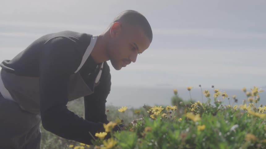 The gardener is working with the flowers