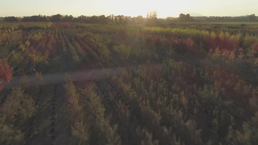 Aerial panorama of a field with the sun on the horizon