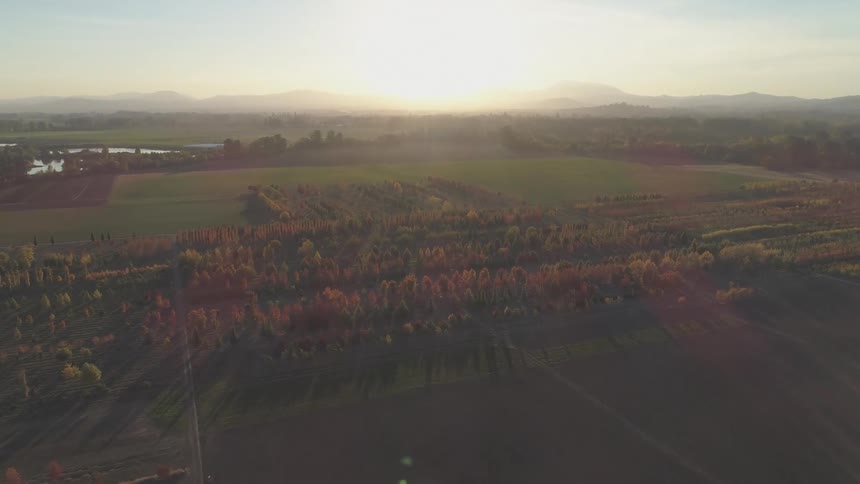 Aerial panorama of an agricultural field at sunrise