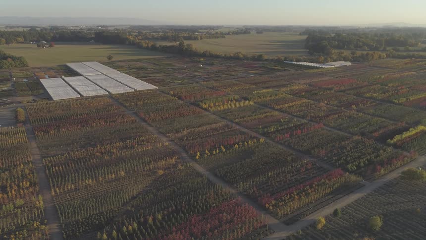 Agricultural fields organized in large rectangular areas seen from above