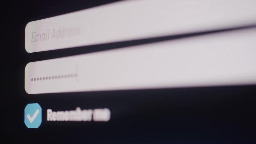 A hidden password being deleted from a login page
