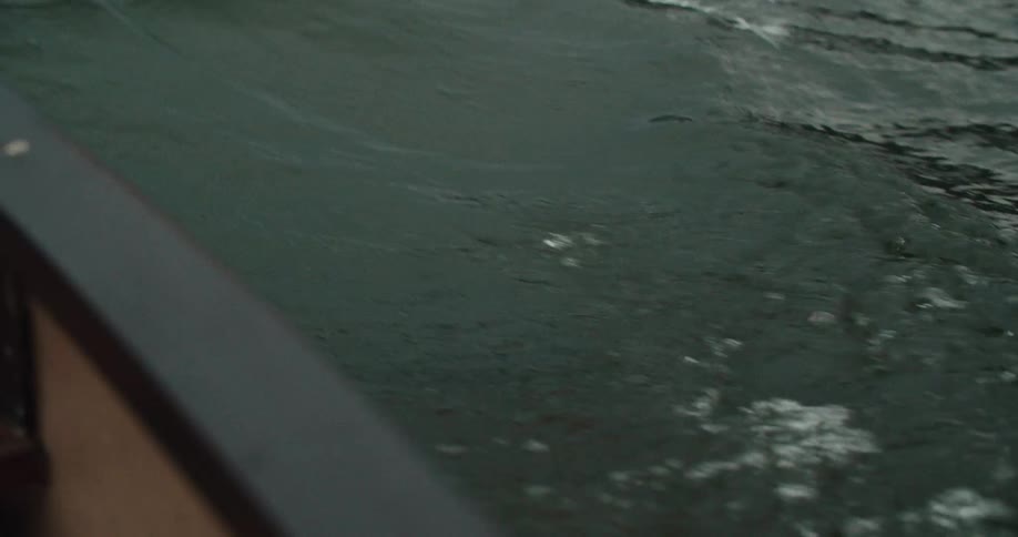 Oar passes through the water while a boat is being rowed during the daytime