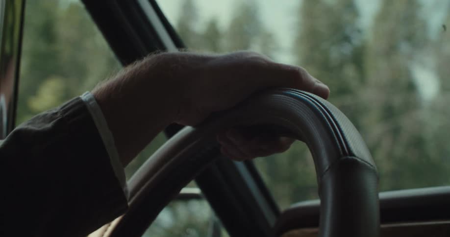 A hand driving a car steering wheel with a background of trees