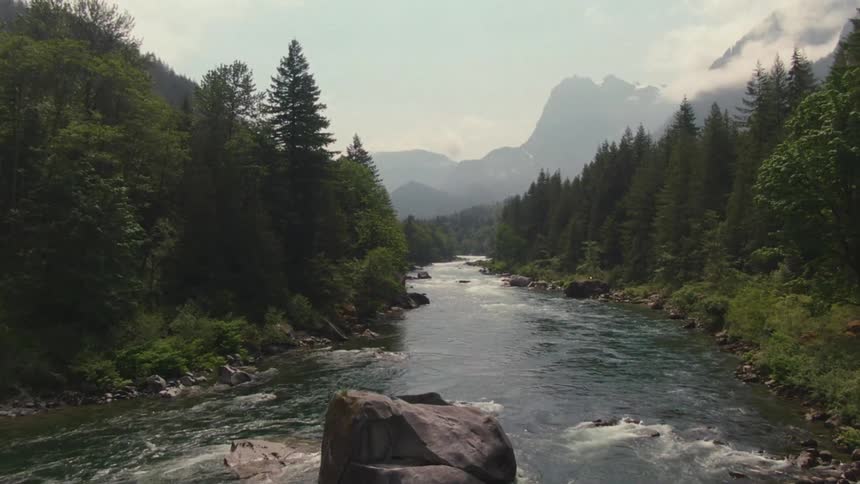 River surrounded by a coniferous forest with mountains on the horizon